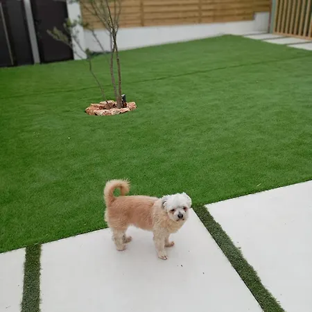 Ethelia Apartamento Vergia