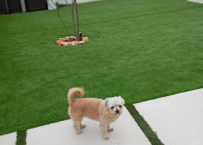 Ethelia Apartamento Vergia